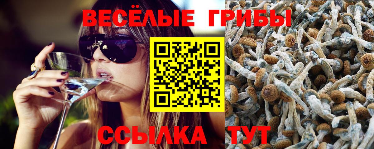 Галлюциногенные грибы GOLDEN TEACHER Курчалой