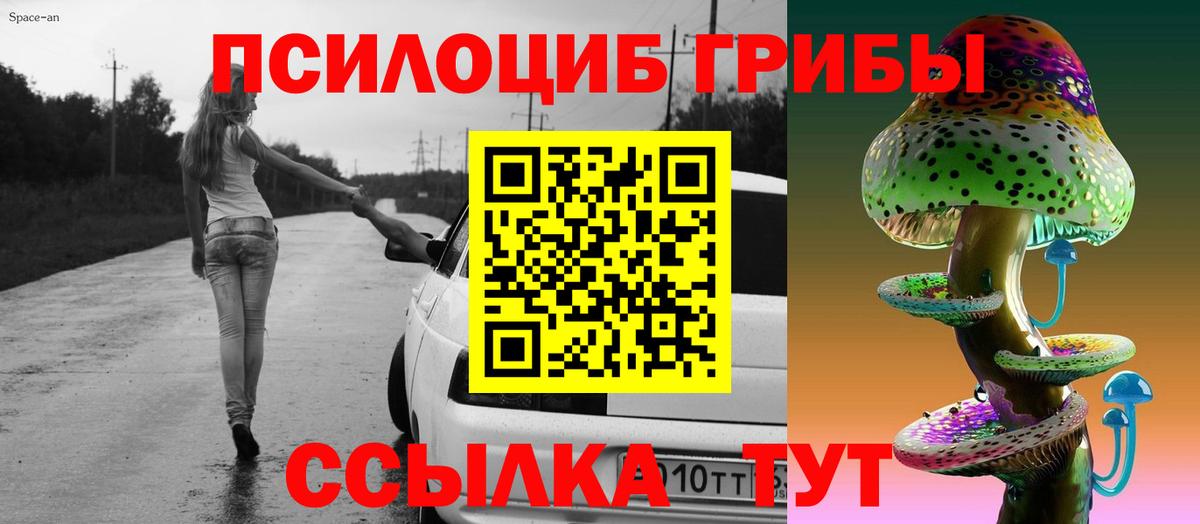Галлюциногенные грибы мицелий  Вход с VPN  где продают   Курчалой 